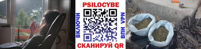 Купить где  Инза  Галлюциногенные грибы Psilocybine cubensis 